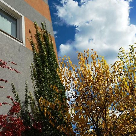 Hisa Posebne Sorte Kodreti Exterior foto